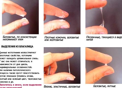 Что означает слизь