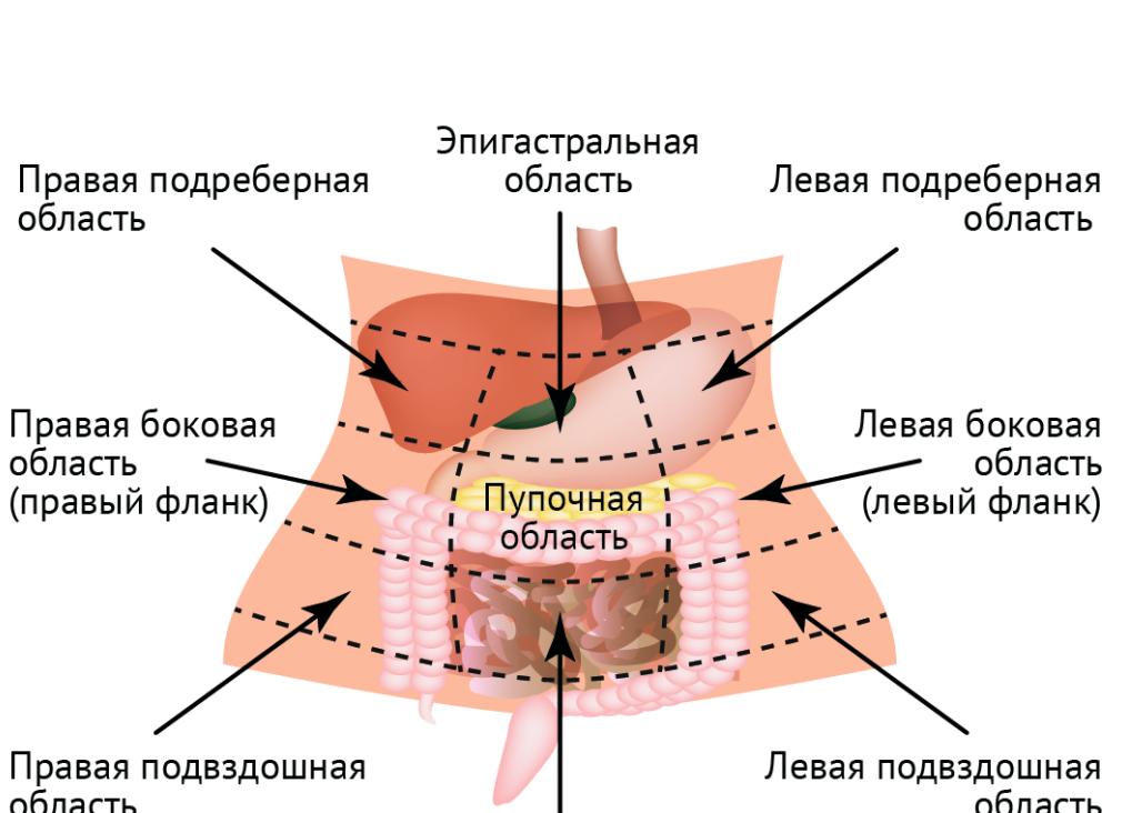 Боли в нижней части живота у женщин