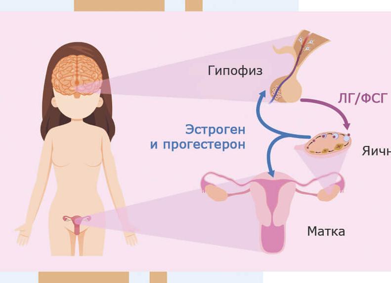 Анализы на гормональный фон у женщин