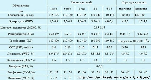 Мснс в анализе крови норма для женщин