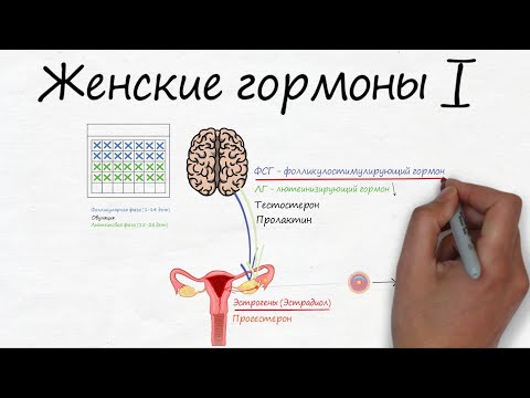 На какие гормоны нужно сдать анализы при гормональном сбое