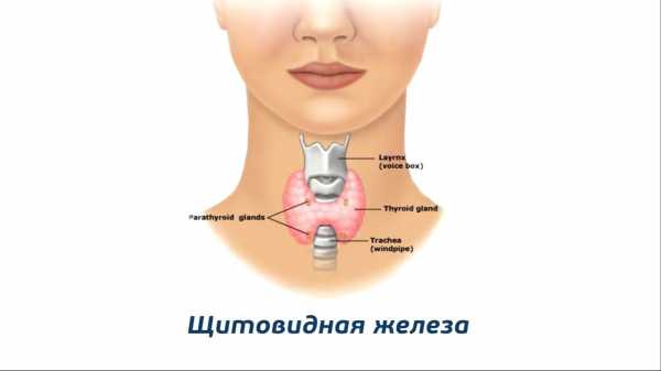 Анализ анти тпо