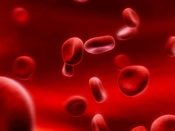 Анализ крови на токсины
