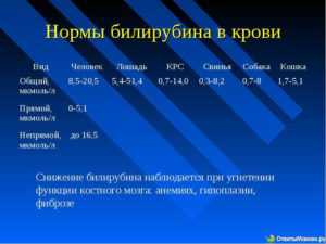 Билирубин общий в крови норма у женщин по возрасту таблица