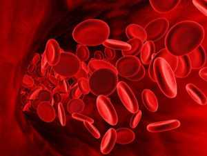 Чем повысить гемоглобин в крови