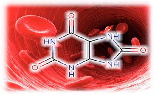 Что такое мочевая кислота в анализе крови и как его снизить