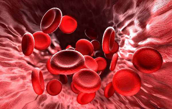 Что такое сывороточное железо в биохимическом анализе крови