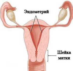 Эндометрий норма для зачатия