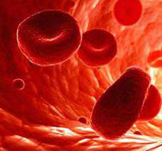 Эритроциты повышенные в крови у мужчин