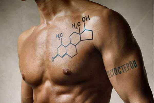 Как увеличить в организме количество тестостерона