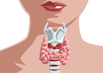 Какие надо сдать анализы на щитовидную железу