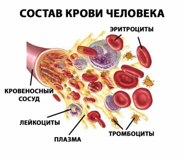 Какой препарат для разжижения крови лучше