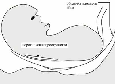 Нормы первого скрининга