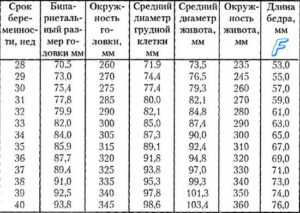 Окружность головы плода по неделям