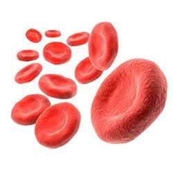 Понижение гемоглобина в крови причины