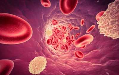 Понижены лейкоциты в крови что это значит у взрослого
