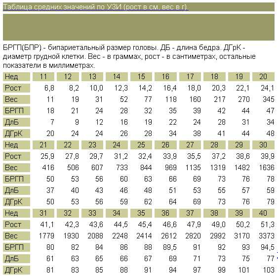 Размер зародыша по неделям