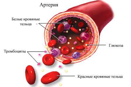 Сахар быстро снизить