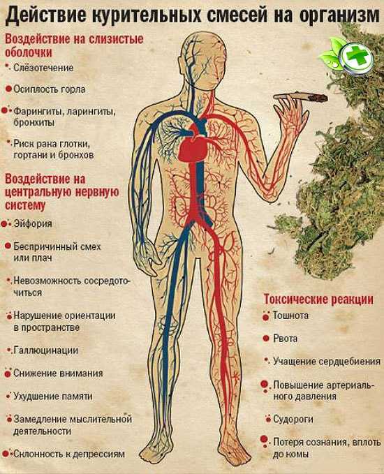 вывести марихуана из организма