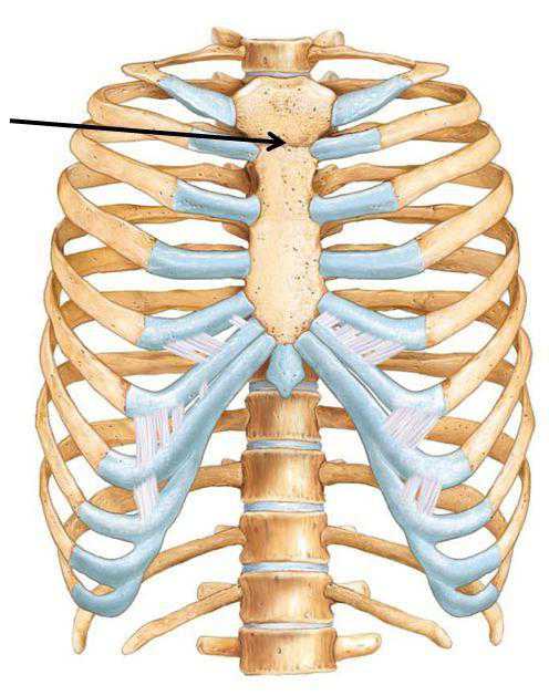 Стернальная пункция что это