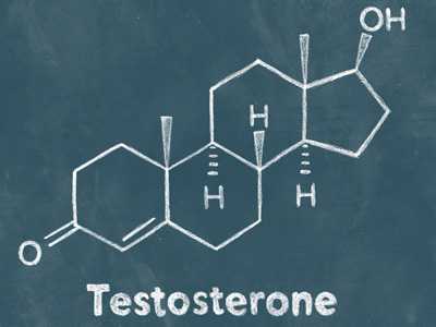 Тестостерон за что отвечает у мужчин