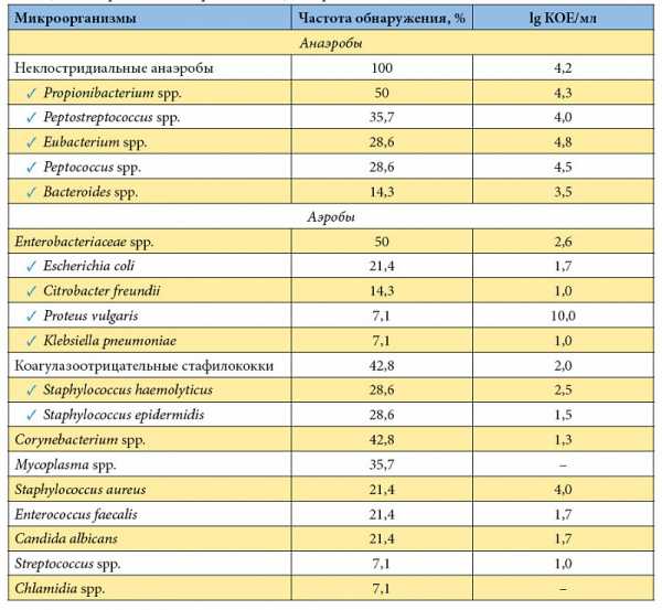 В моче стафилококк эпидермальный